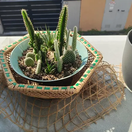 Bed and breakfast La Buldrina Suite-home