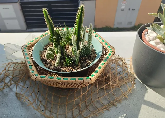 לינה וארוחת בוקר La Buldrina Suite-home